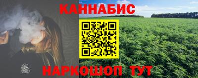 индика Заводоуковск