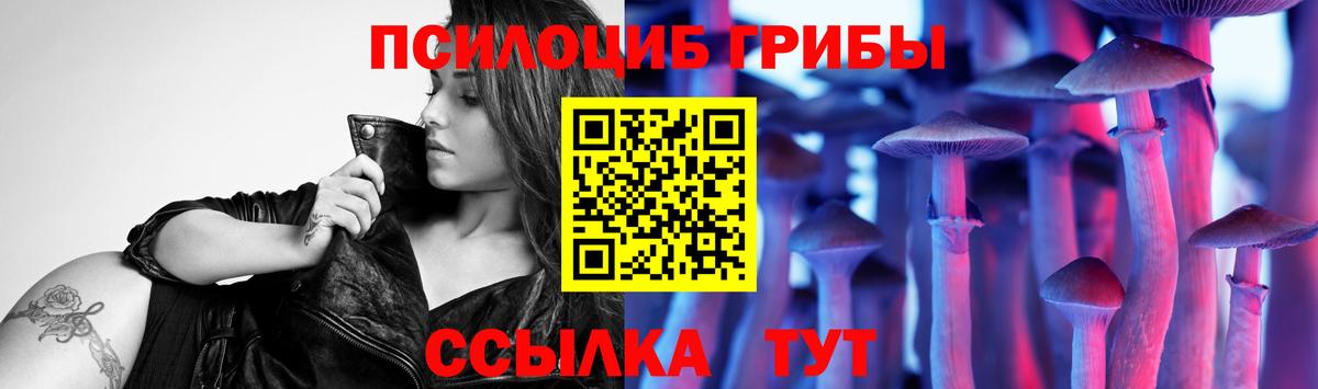 Дятьково  Псилоцибиновые грибы Psilocybe  Вход с VPN 